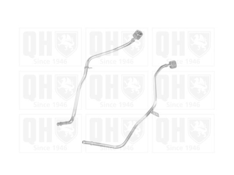 BM CATALYSTS Pressure Pipe, pressure sensor (soot/particulate filter)