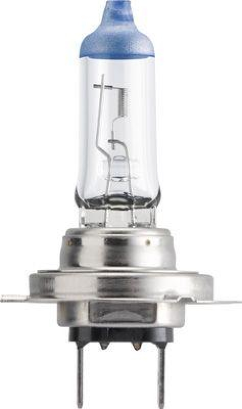PHILIPS Glühlampe MasterDuty BlueVision 13972MDBVS2