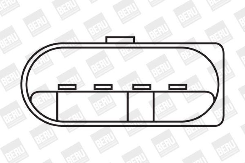 BorgWarner (BERU) Ignition Coil