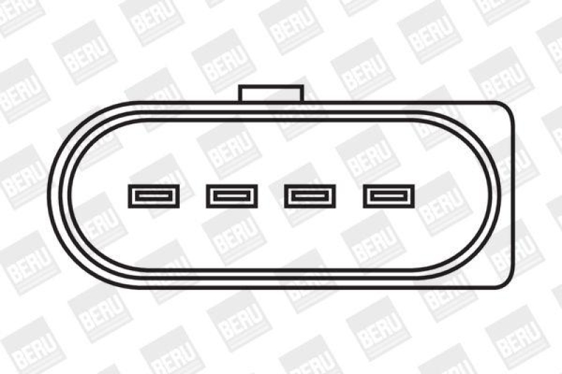 BorgWarner (BERU) Ignition Coil