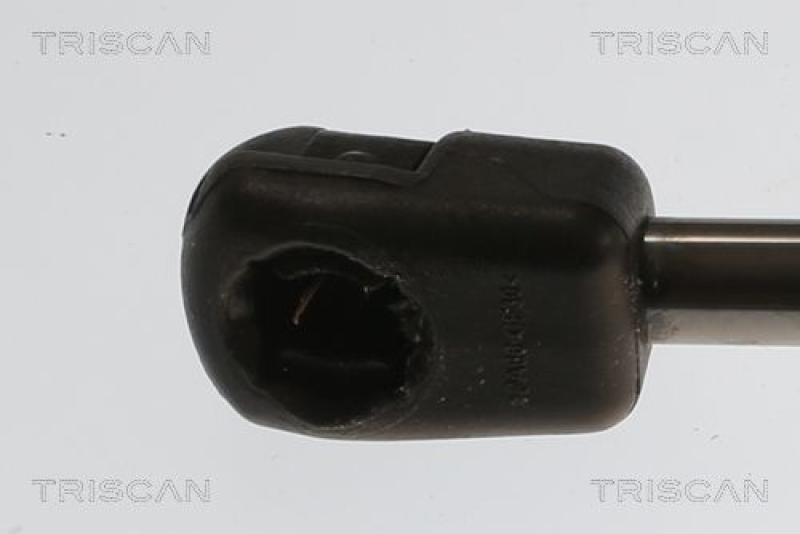 TRISCAN Gasfeder, Koffer-/Laderaum