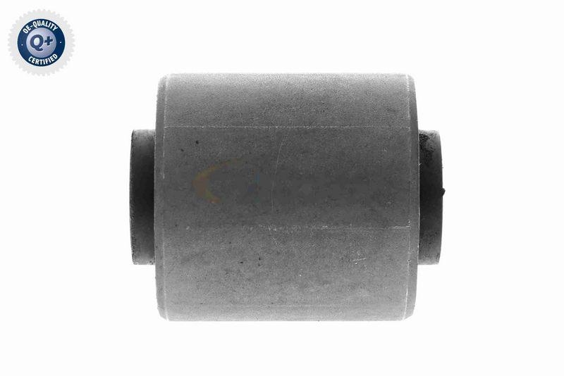 VAICO Retaining Spring Original VAICO Quality