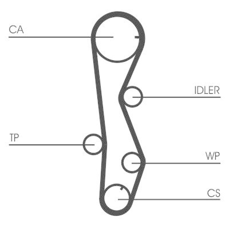 CONTI Zahnriemensatz mit Wasserpumpe passend für Hyundai Santa FE 2 Carens Tucson 2.0 2.2 CRDi