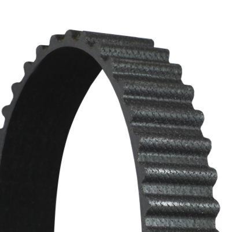 CONTITECH Timing Belt