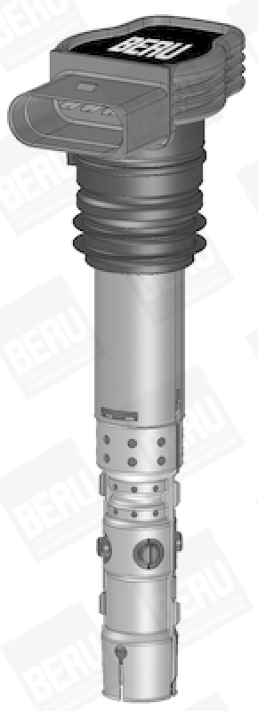 BorgWarner (BERU) Zündspule