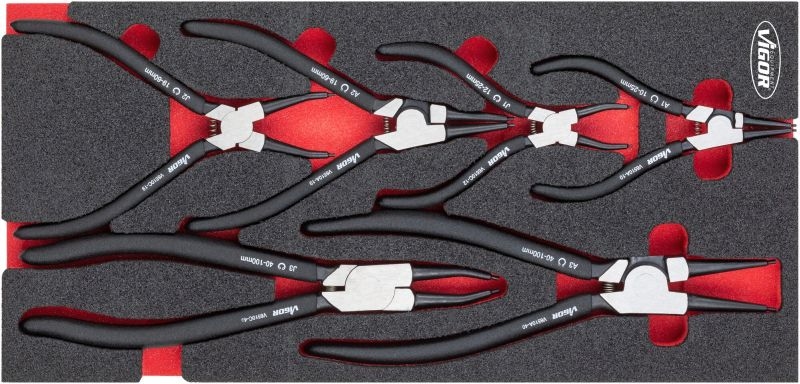 VIGOR Zangen-Set