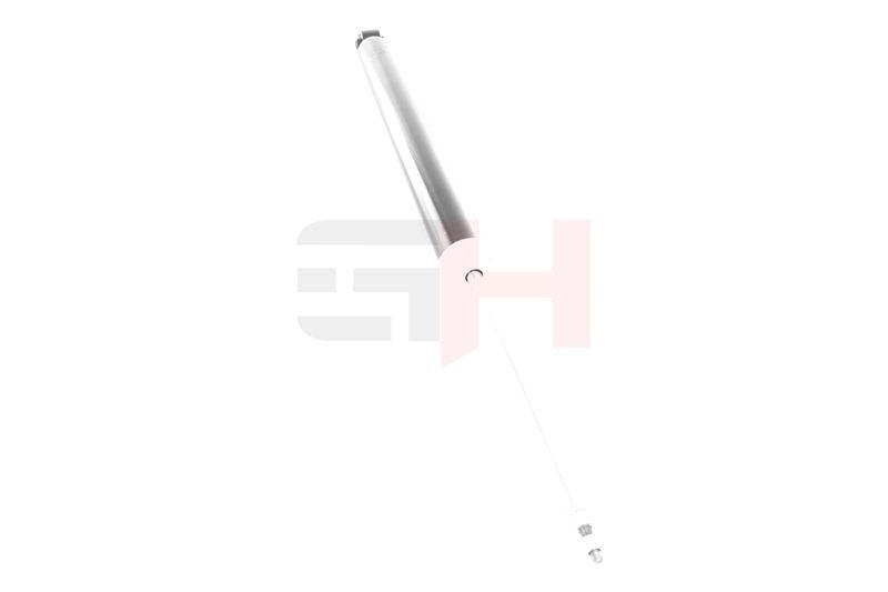 Stoßdämpfer Stossdämpfer Hinten links rechts passend für...