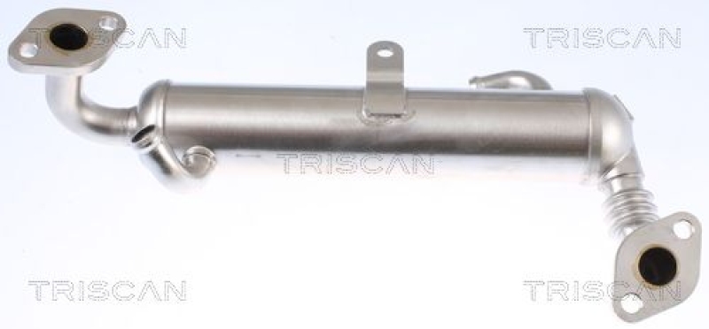 TRISCAN K&uuml;hler, Abgasr&uuml;ckf&uuml;hrung 8813 24106