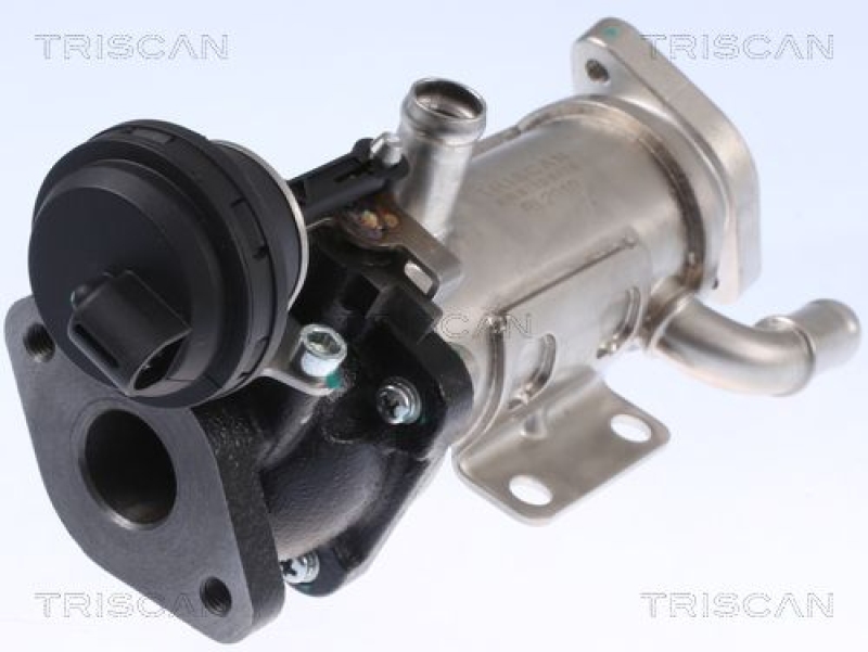 TRISCAN Cooler, exhaust gas recirculation