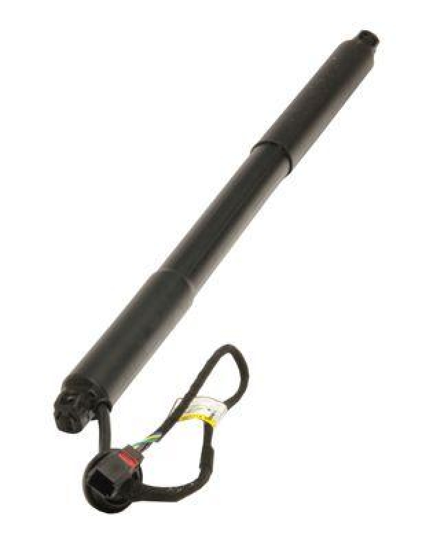 MAXGEAR Gasfeder, Einlegeboden (Koffer-/Laderaum)