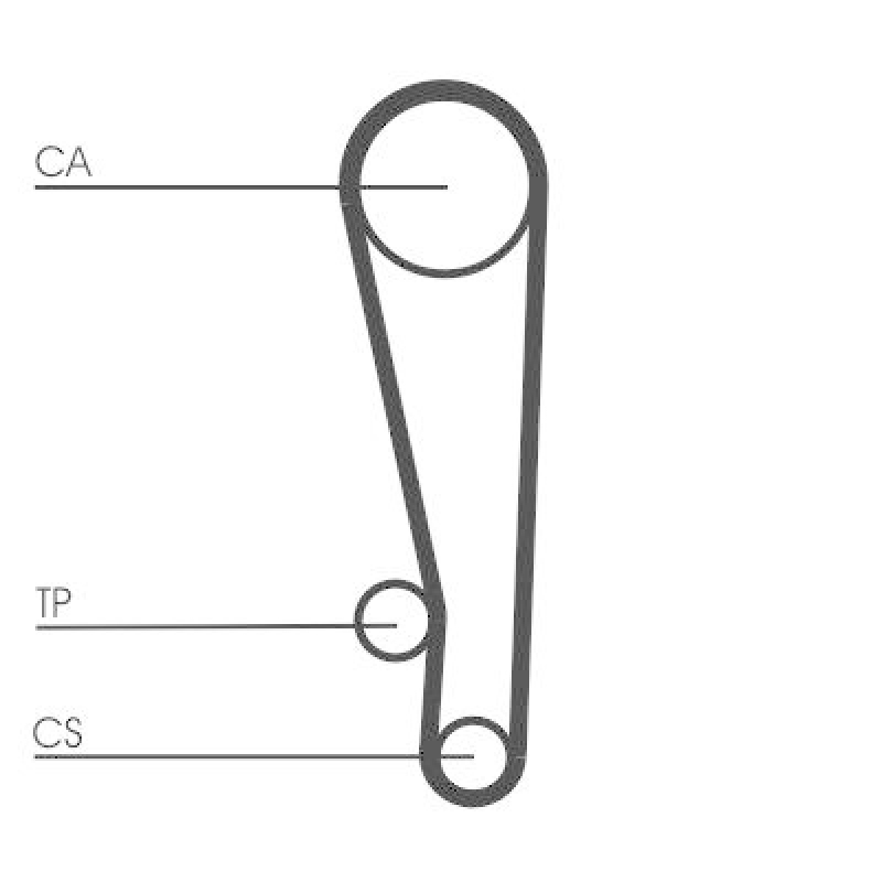 CONTINENTAL CTAM Zahnriemensatz CT1013K2
