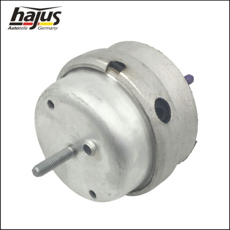 hajus Autoteile Lagerung, Motor