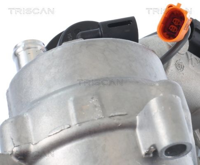 TRISCAN EGR Valve