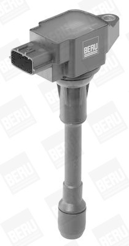 BorgWarner (BERU) Ignition Coil