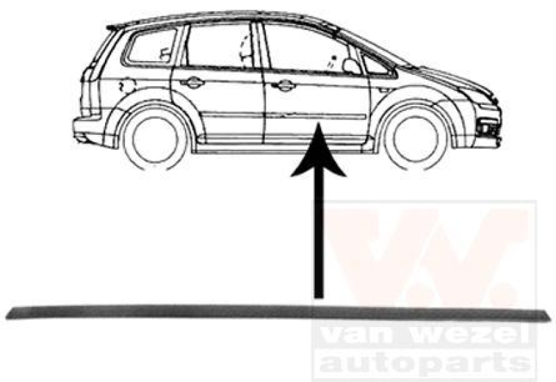 VAN WEZEL Trim/Protective Strip, door