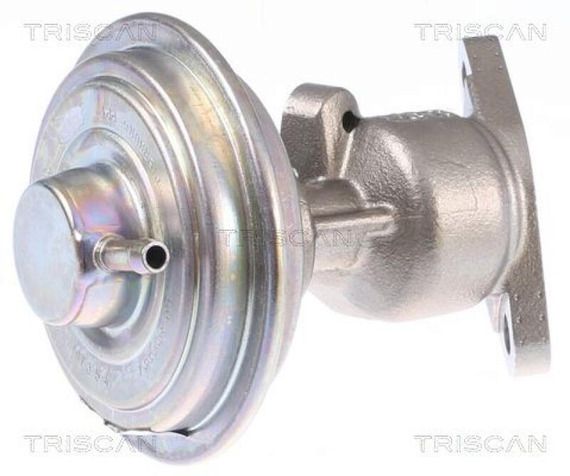 TRISCAN EGR Valve
