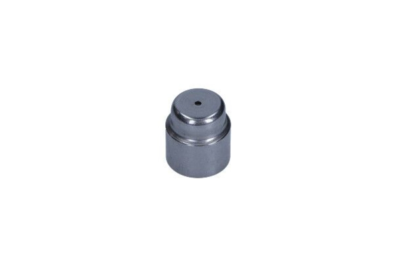 MAXGEAR Pilot Bearing, clutch