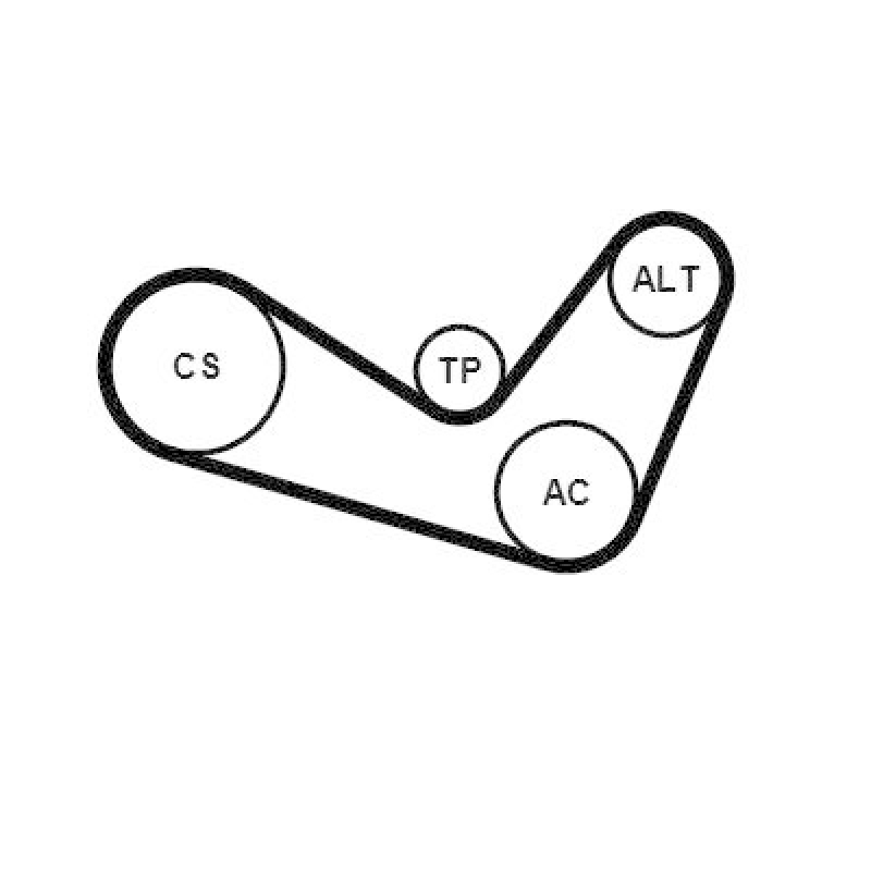 CONTINENTAL CTAM Keilrippenriemensatz 6PK1050K1