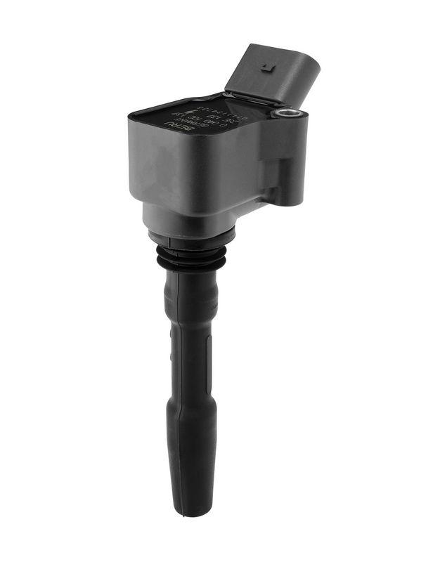 BorgWarner (BERU) Ignition Coil