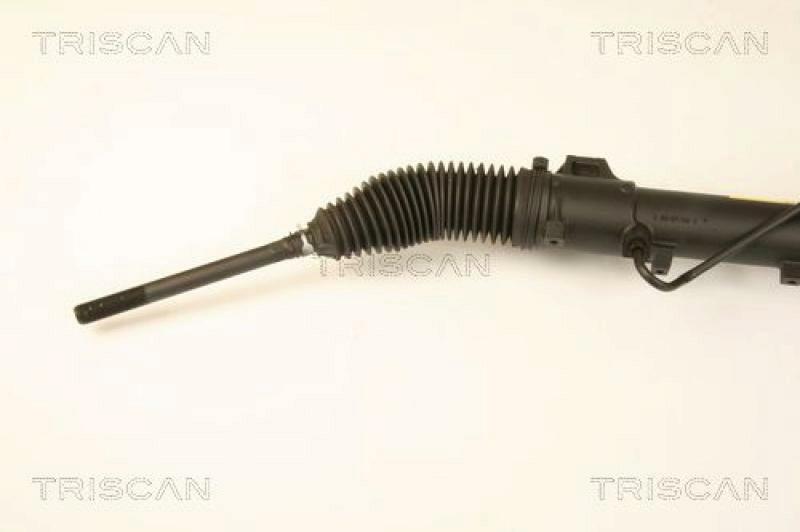 TRISCAN Lenkgetriebe