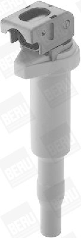 BorgWarner (BERU) Ignition Coil