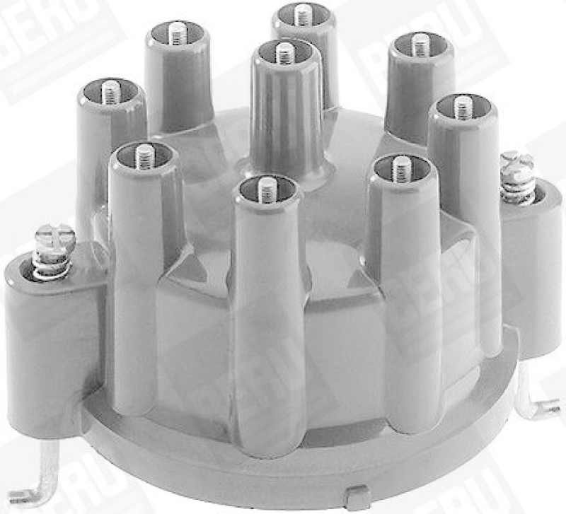 BERU by DRiV Distributor Cap