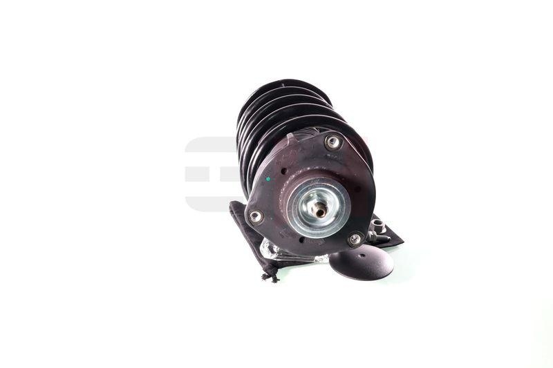 Komplett Sto&szlig;d&auml;mpfer Federbein Satz Vorne links rechts passend f&u...