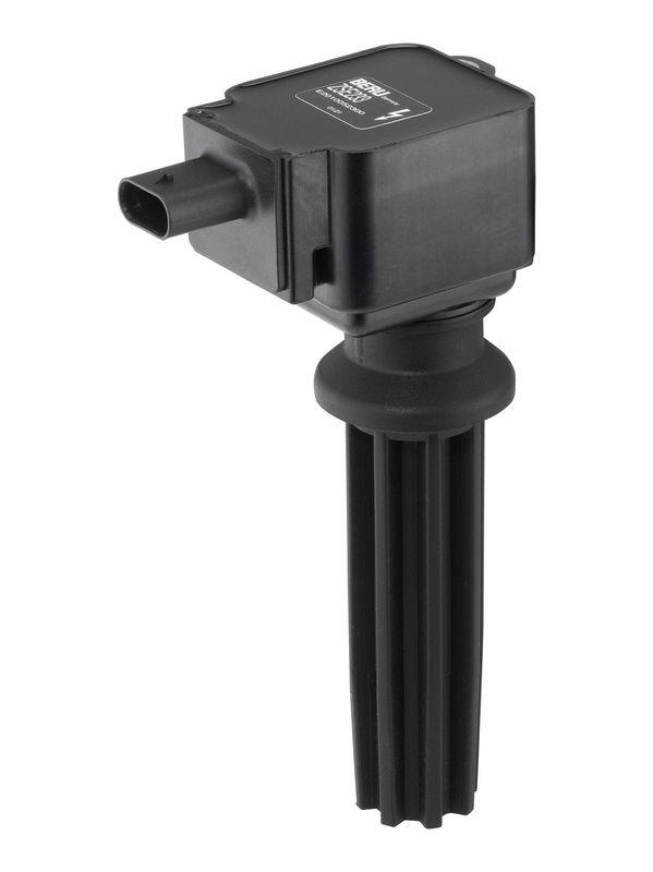 BorgWarner (BERU) Ignition Coil