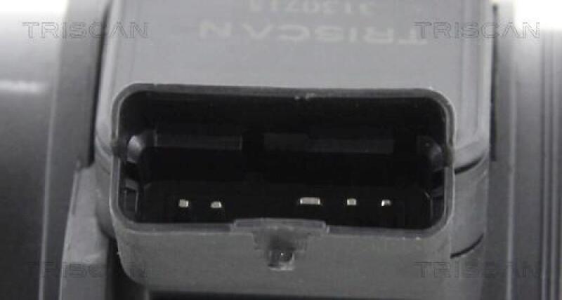 TRISCAN Air Mass Sensor