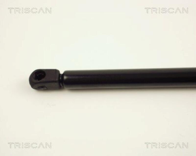 TRISCAN Gas Spring, boot-/cargo area