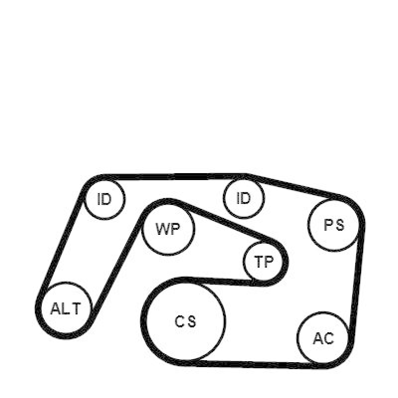 CONTINENTAL CTAM Keilrippenriemensatz 6PK2271K1