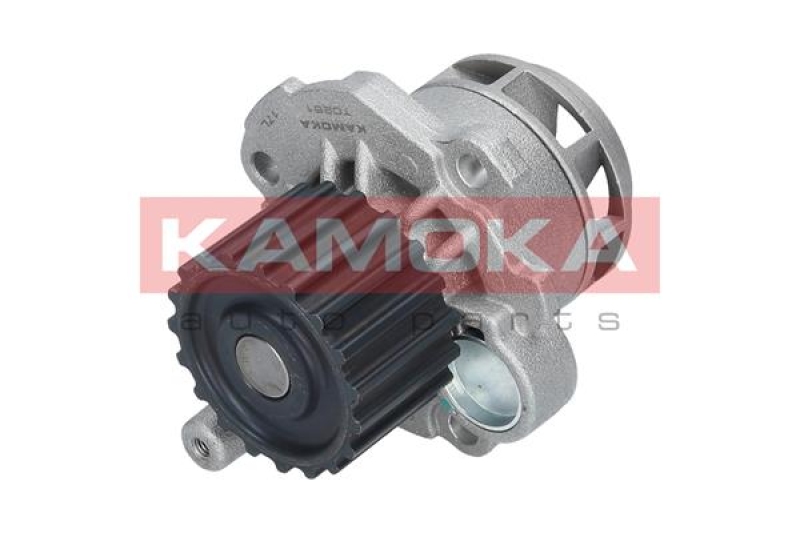 KAMOKA Wasserpumpe, Motorkühlung T0251