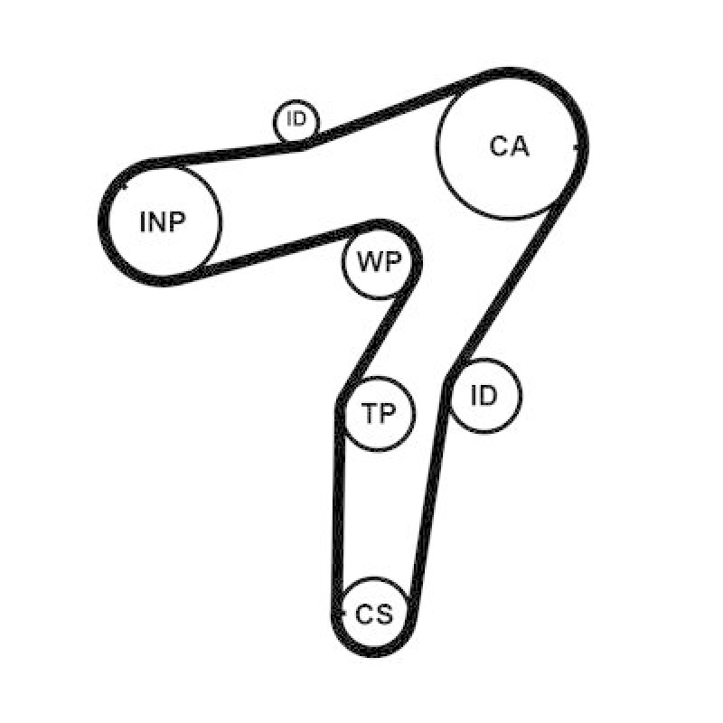 CONTITECH Timing Belt