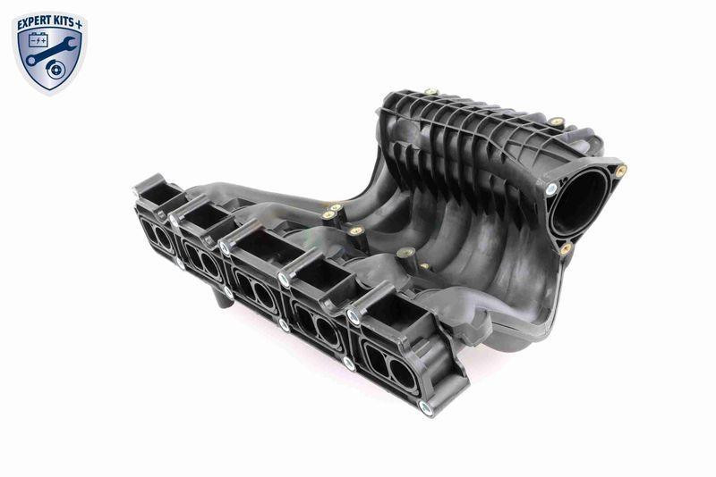 Intake Manifold Module EXPERT KITS +