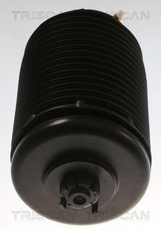 TRISCAN Luftfeder, Fahrwerk