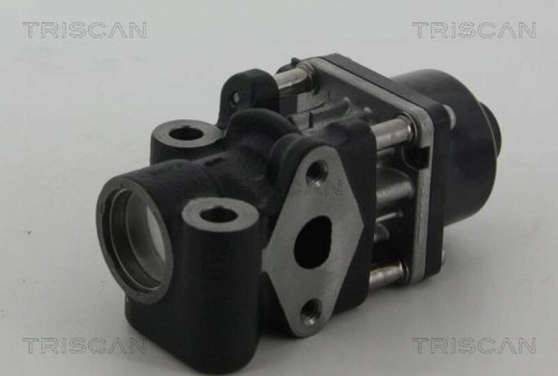 TRISCAN EGR Valve