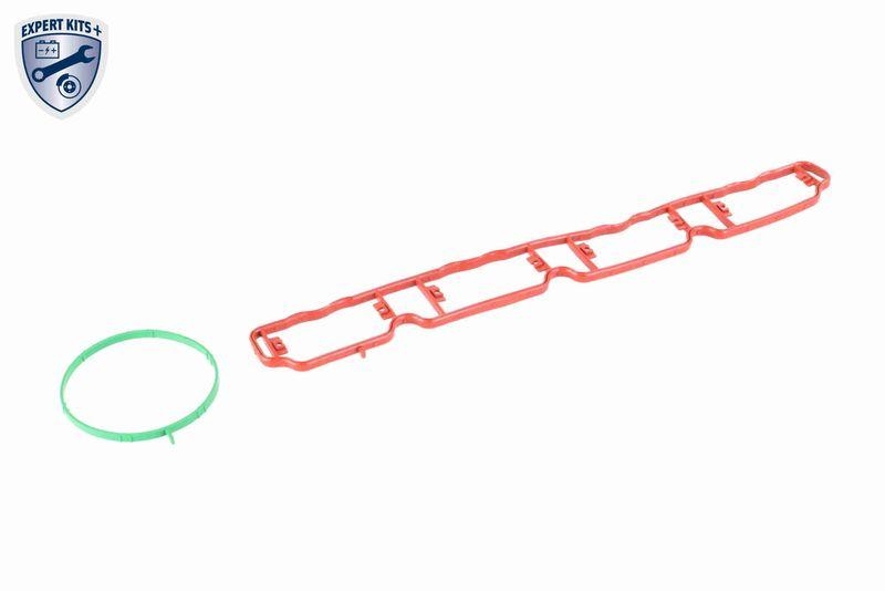 VAICO Intake Manifold Module EXPERT KITS +