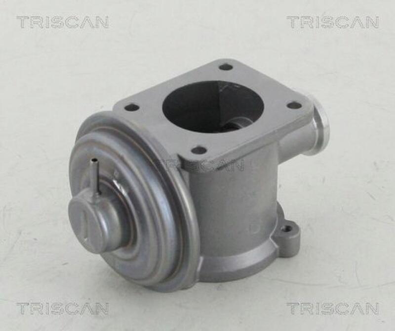 TRISCAN EGR Valve