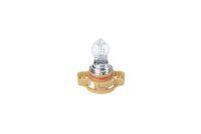BOSCH Glühlampe, Nebelscheinwerfer Pure Light WS