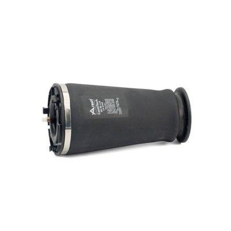 Arnott Air Spring, suspension