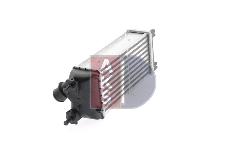 AKS DASIS Intercooler, charger
