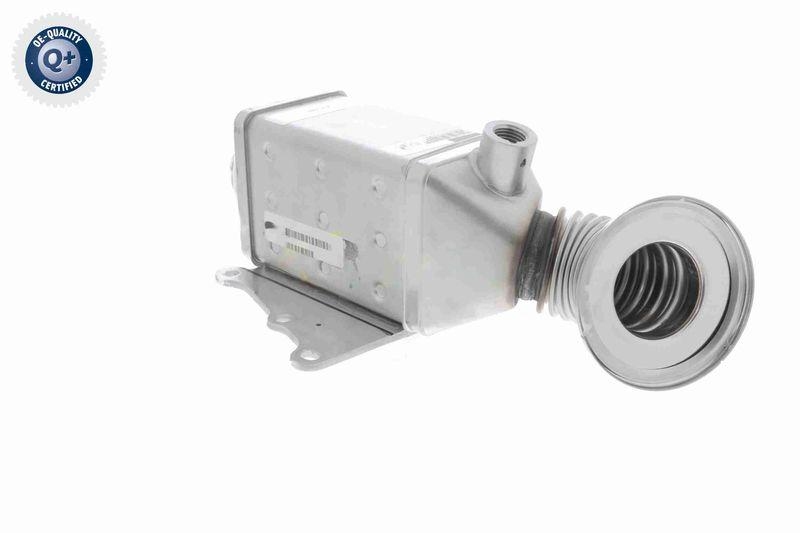 VEMO K&uuml;hler, Abgasr&uuml;ckf&uuml;hrung Q+, Erstausr&uuml;sterqualit&aum...