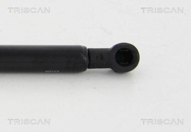 TRISCAN Gas Spring, boot-/cargo area