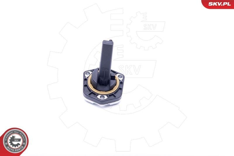 ESEN SKV Sensor, Motor&ouml;lstand