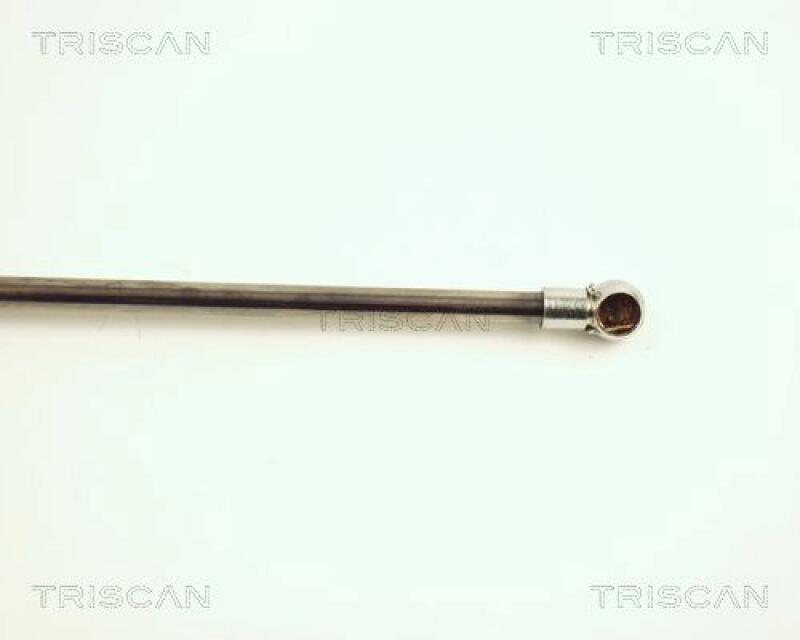 TRISCAN Gas Spring, boot-/cargo area