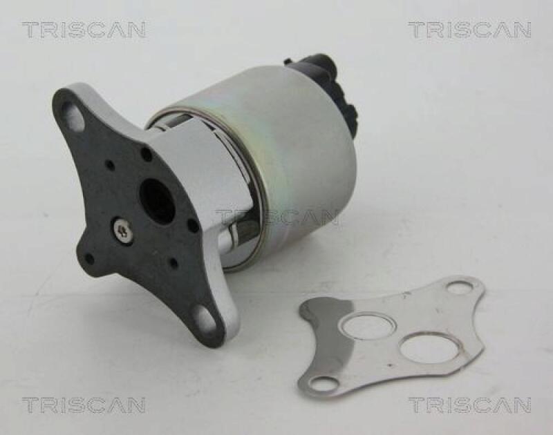 TRISCAN EGR Valve
