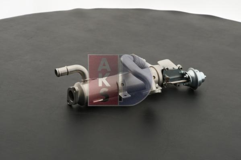 AKS DASIS EGR Module