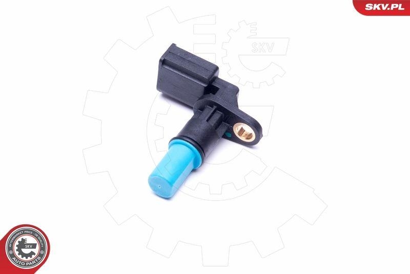 ESEN SKV Lenkwinkelsensor