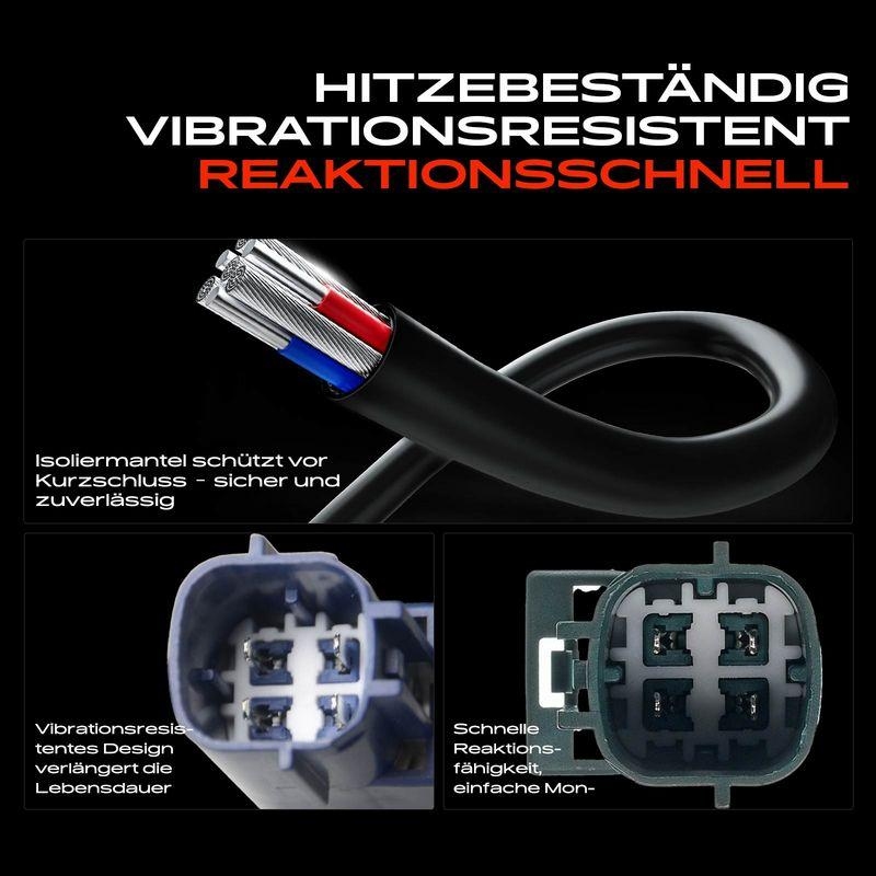 Frankberg Lambdasonde