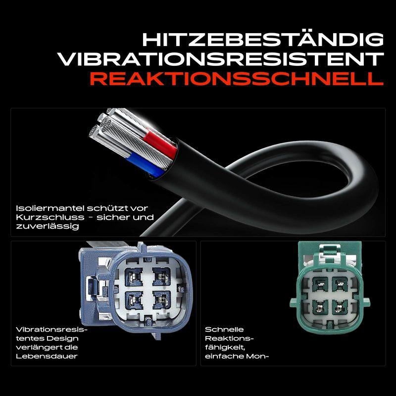 Frankberg Lambdasonde